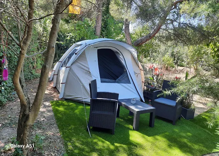 La Palmeraie