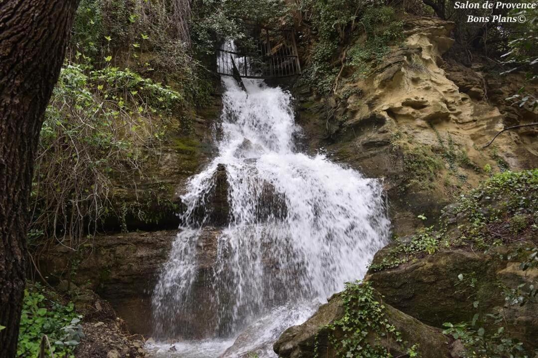 La Palmeraie *