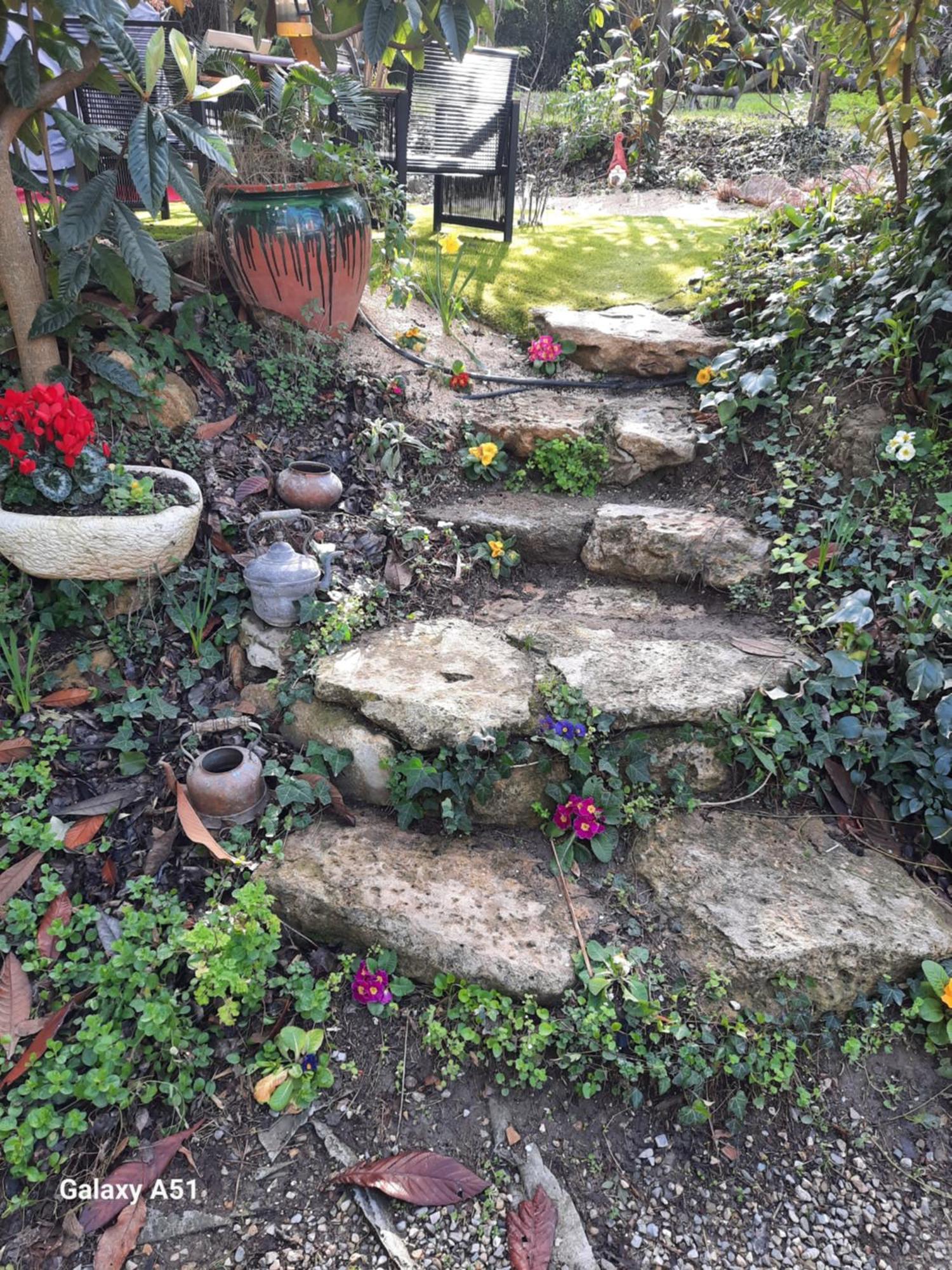 Bed & Breakfast La Palmeraie