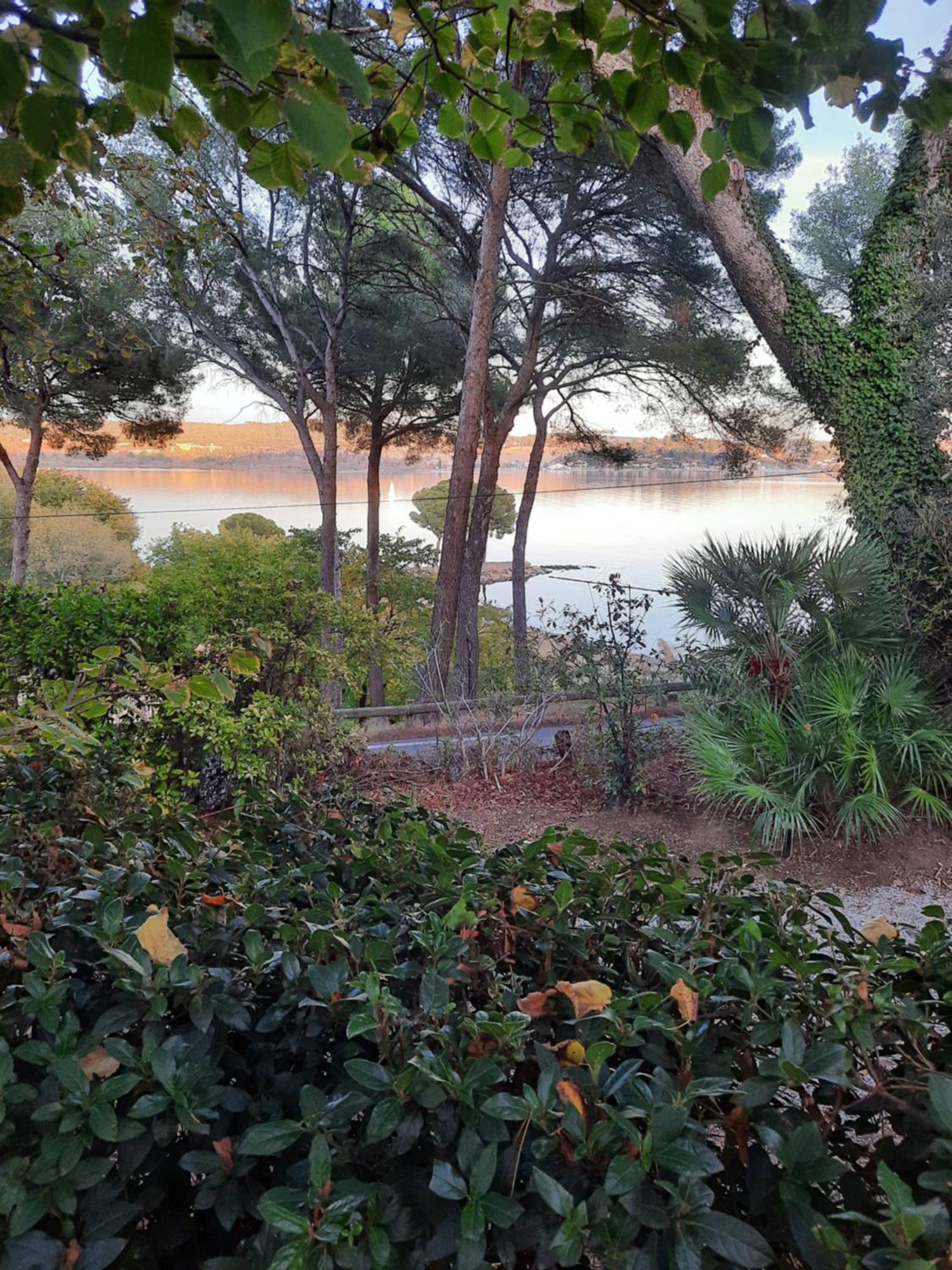 La Palmeraie *